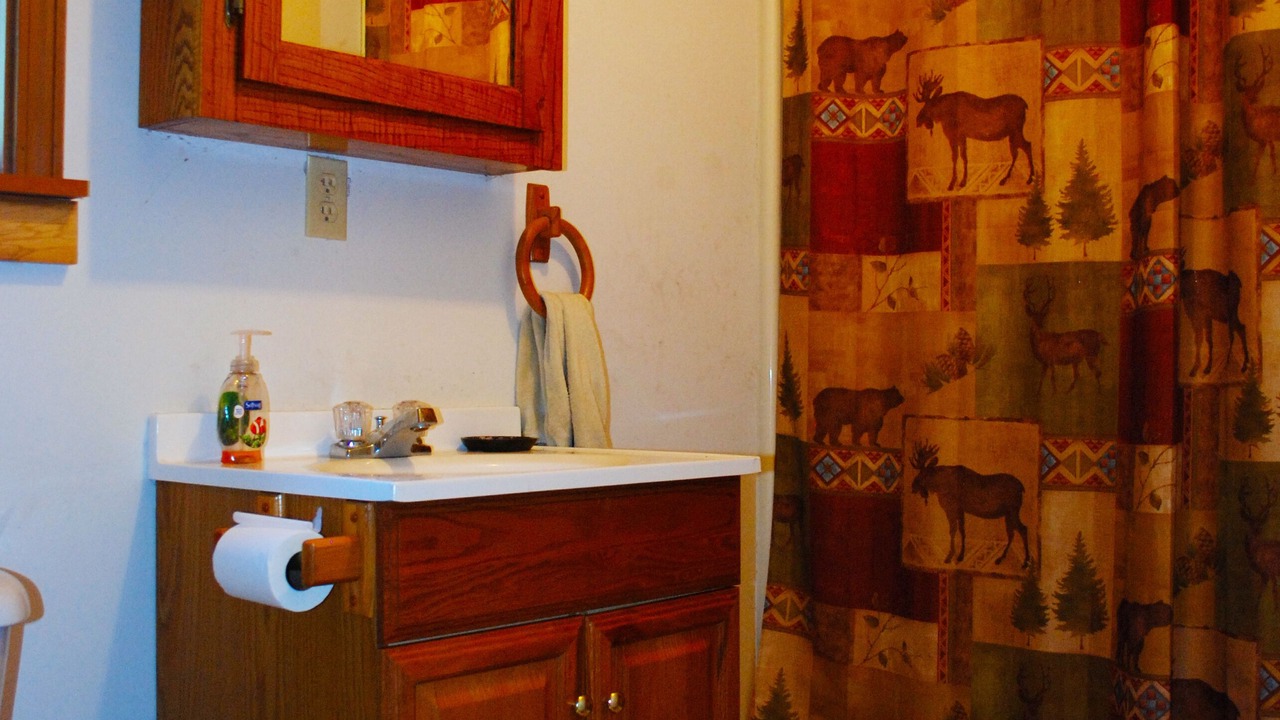 Photo of Bathroom in Driftwood