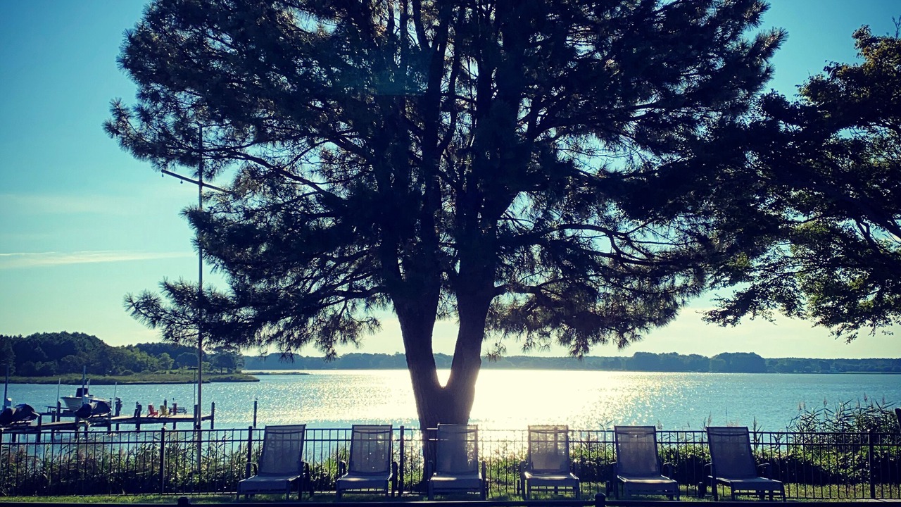 Photo of Outdoor in Sherwood