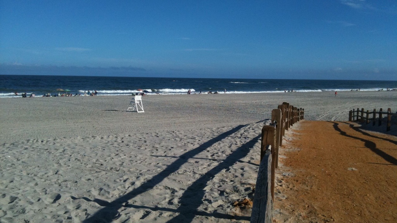 Photo of Others in Avalon