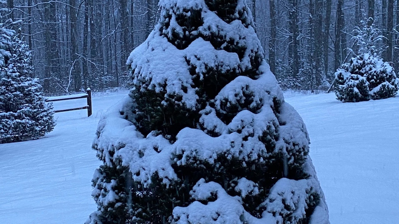 Photo of Outdoor in South Fork