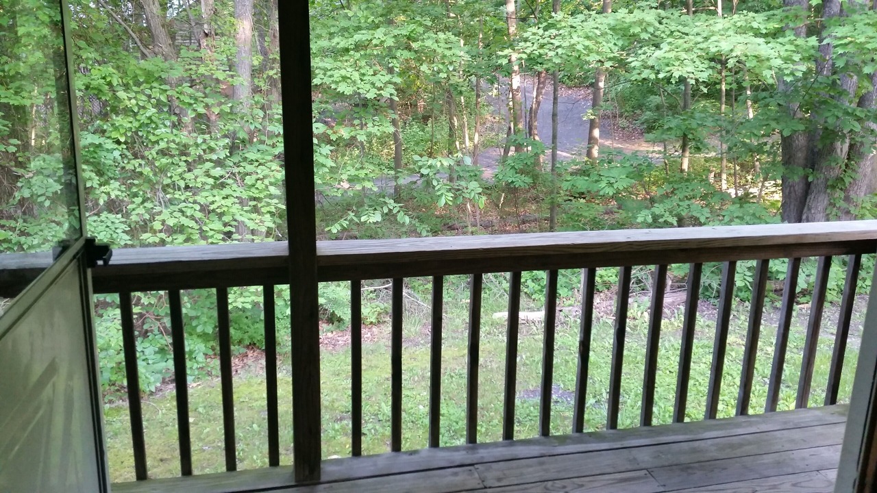 Photo of Outdoor in Huntingdon