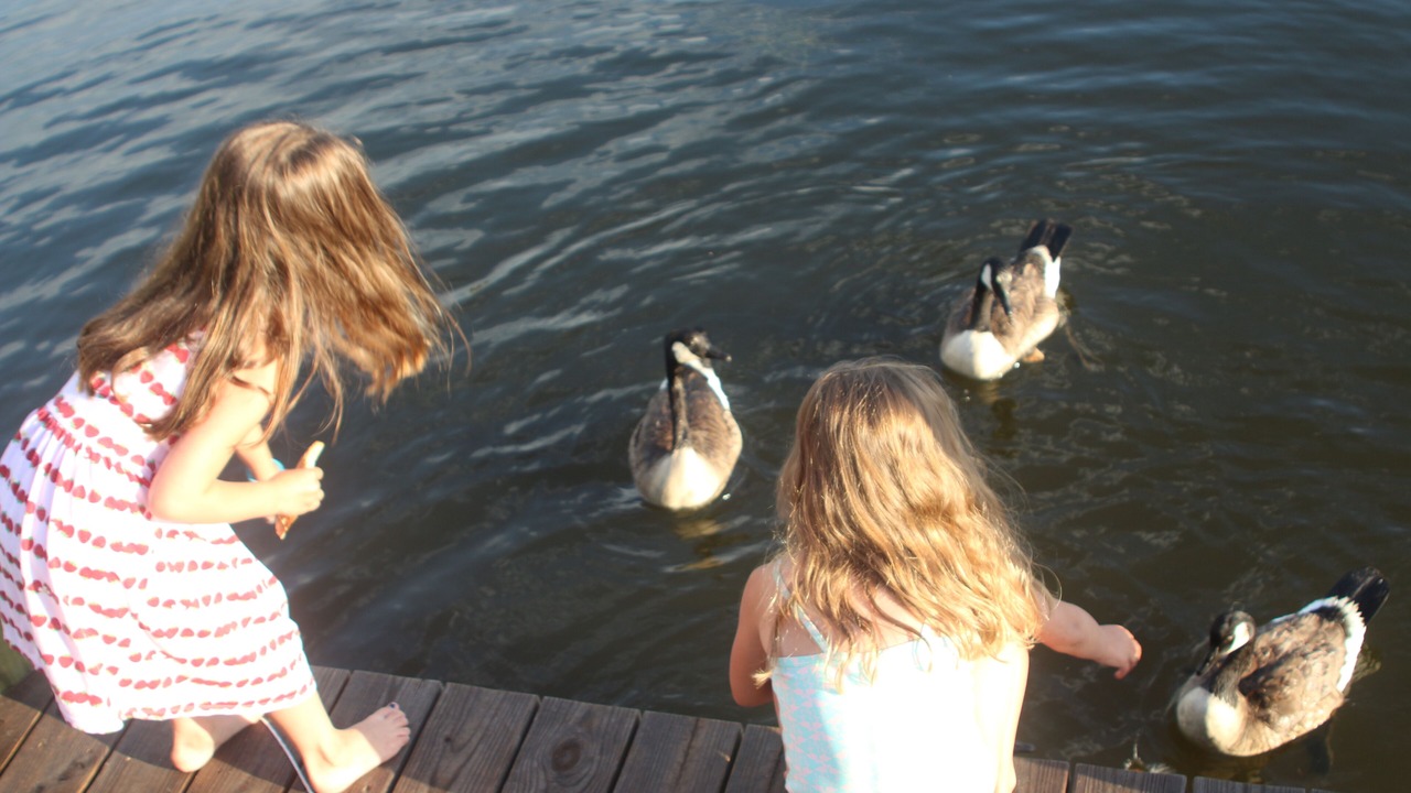 Photo of Others in Dover Beaches North