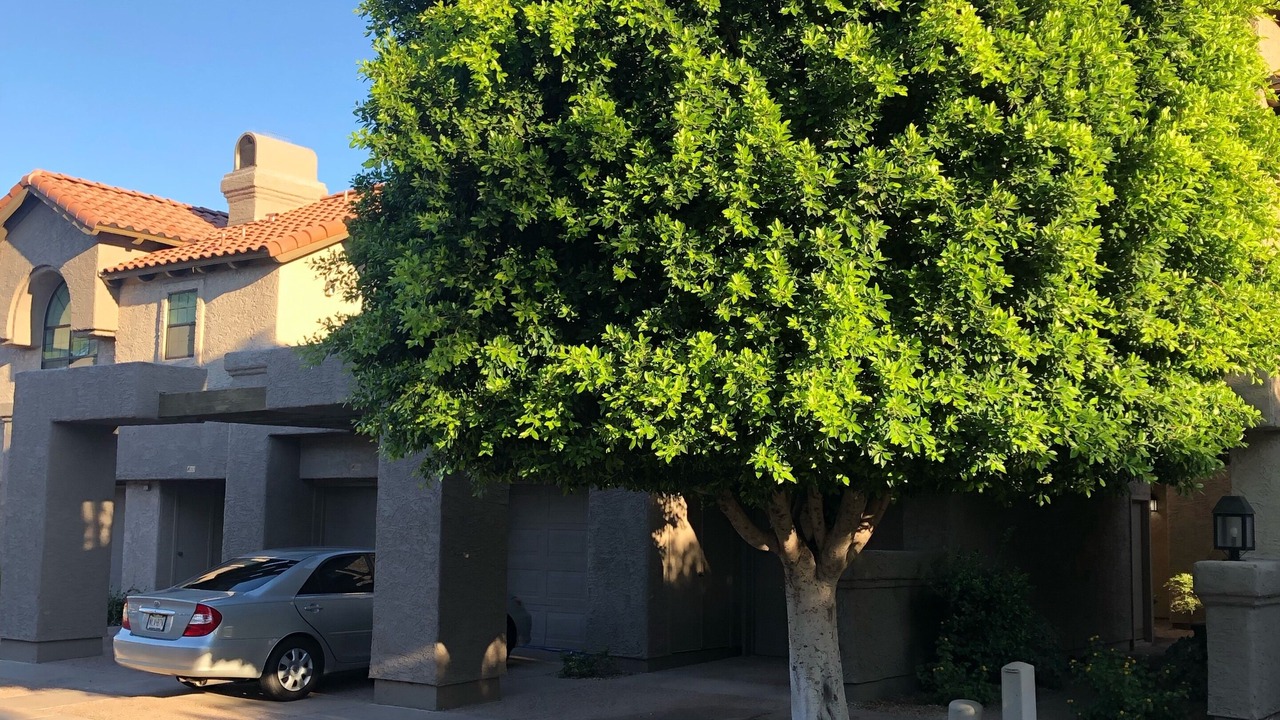 Photo of Outdoor in Scottsdale Ranch