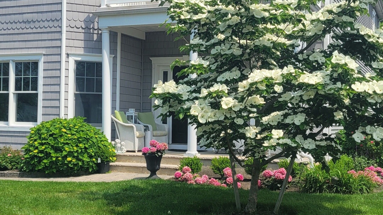 Photo of Outdoor in Spring Lake