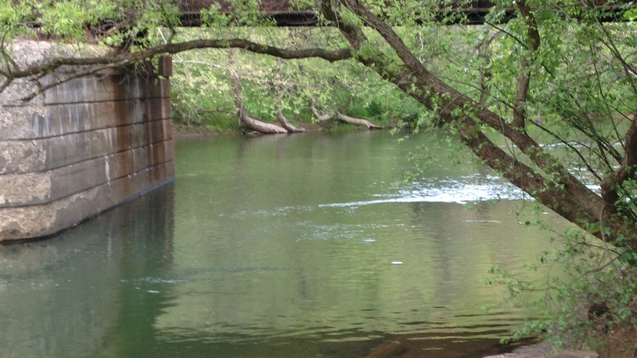 Photo of Others in Confluence