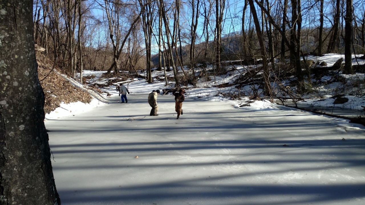 Photo of Others in Northfork