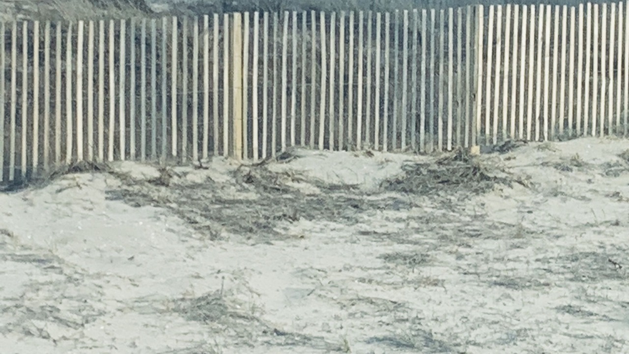 Photo of Others in Midtown Ocean City