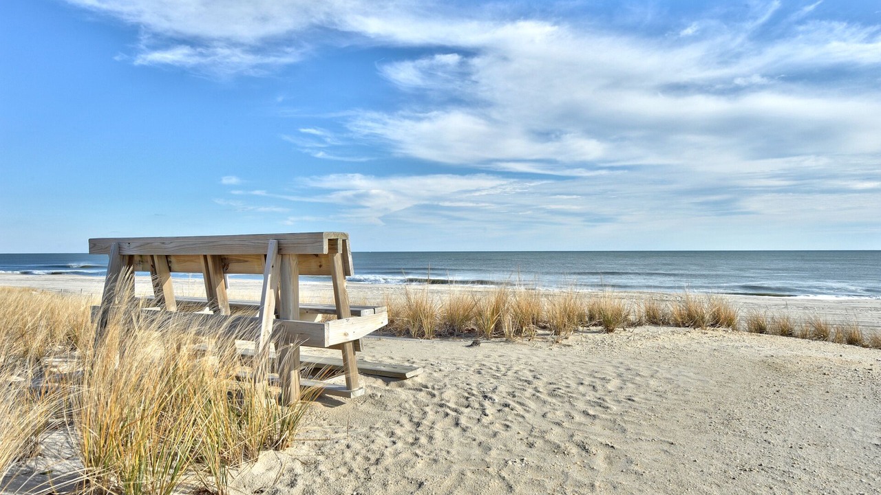 Photo of Others in Beach Haven Gardens