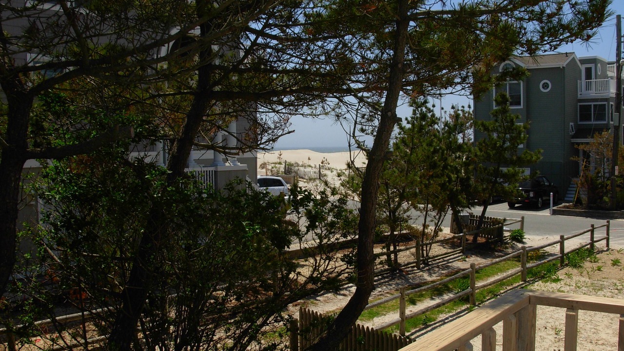 Photo of Outdoor in Beach Haven Gardens