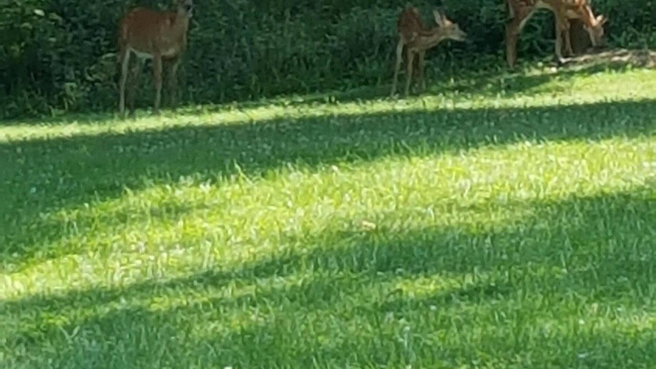 Photo of Others in Sharonville