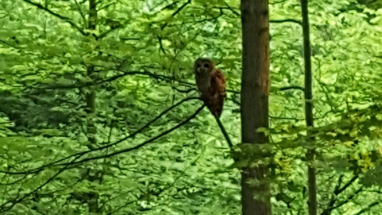 Photo of Others in Sharonville