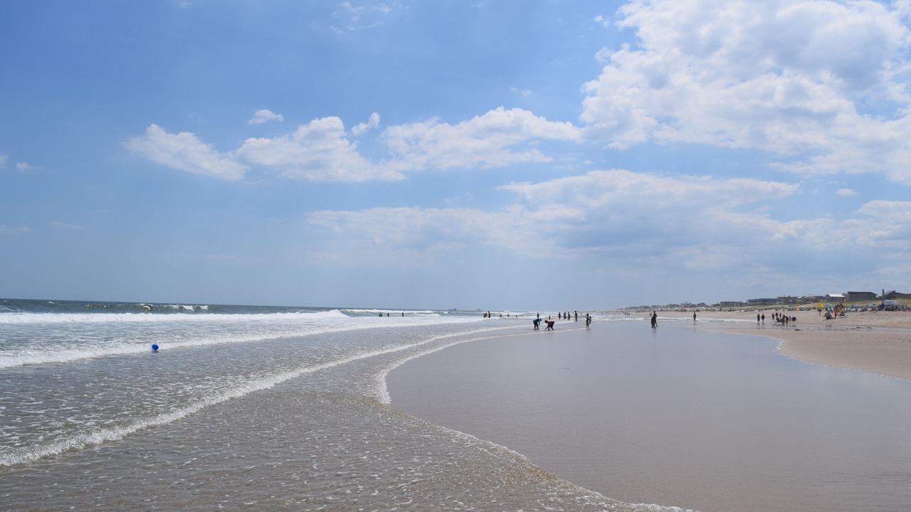 Photo of Others in Beach Haven Gardens