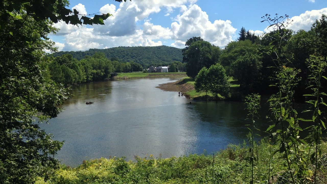 Photo of Others in Confluence