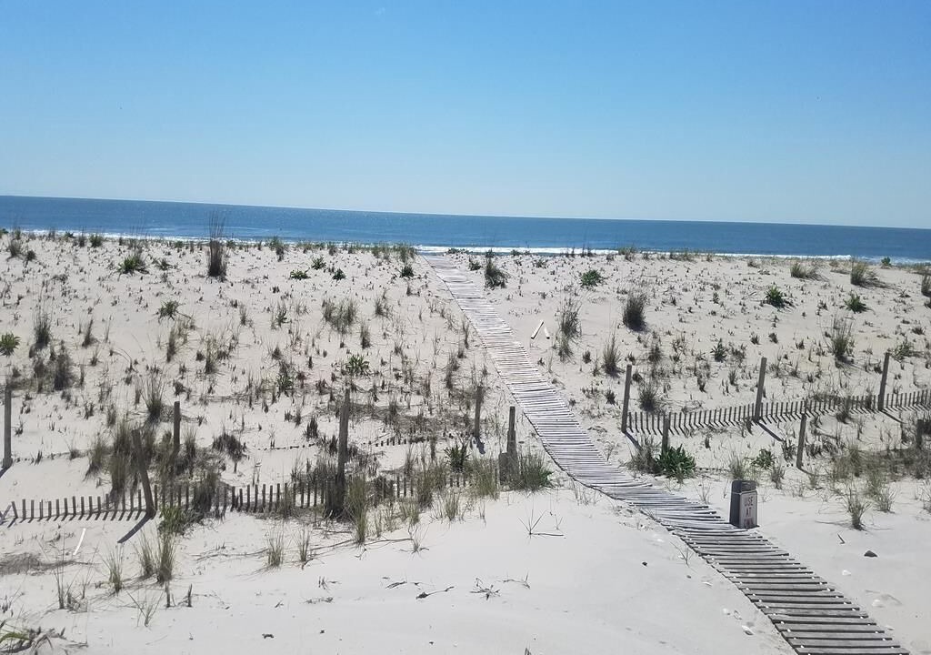 Photo of Outdoor in North Beach Haven