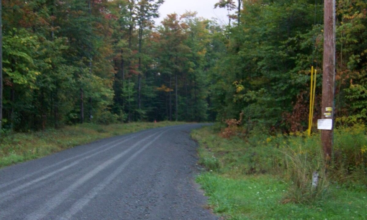 Photo of Outdoor in Arnot