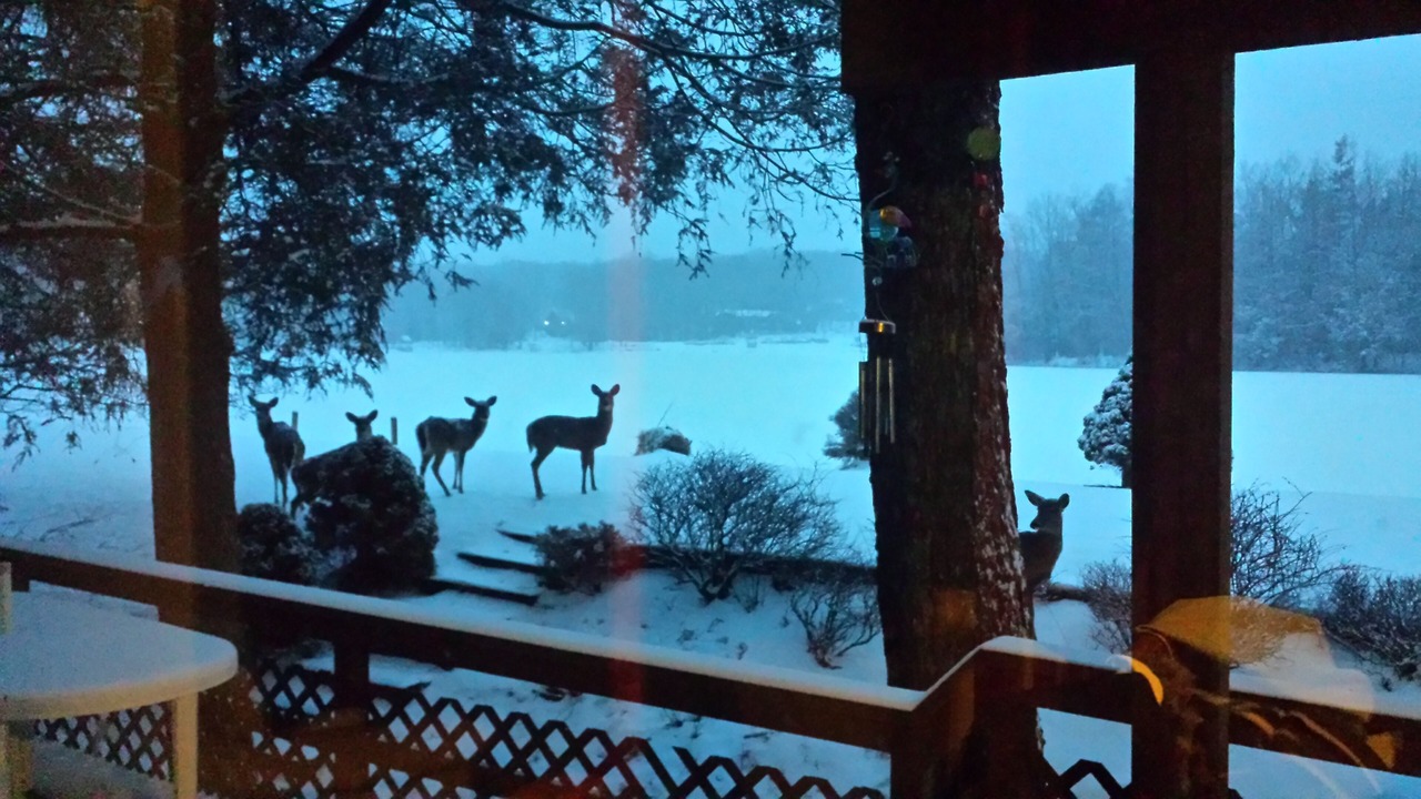 Photo of Outdoor in Wallenpaupauk Lake Estates