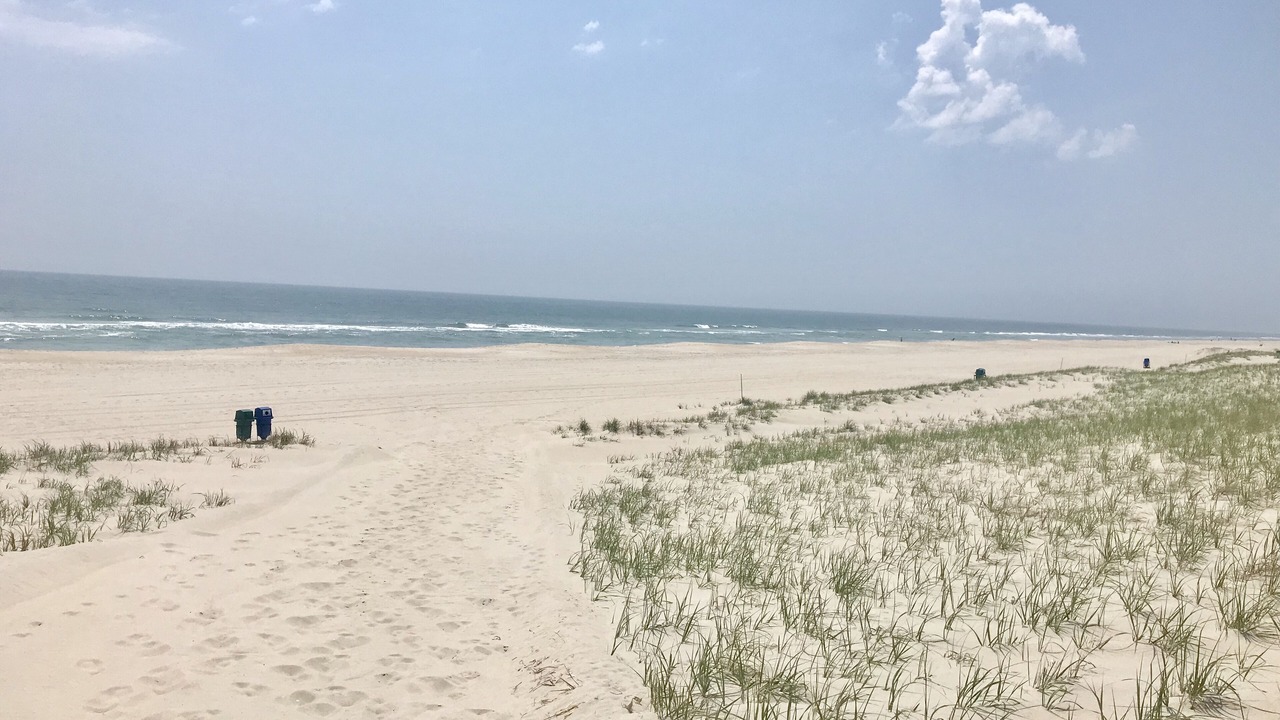 Photo of Others in The Dunes