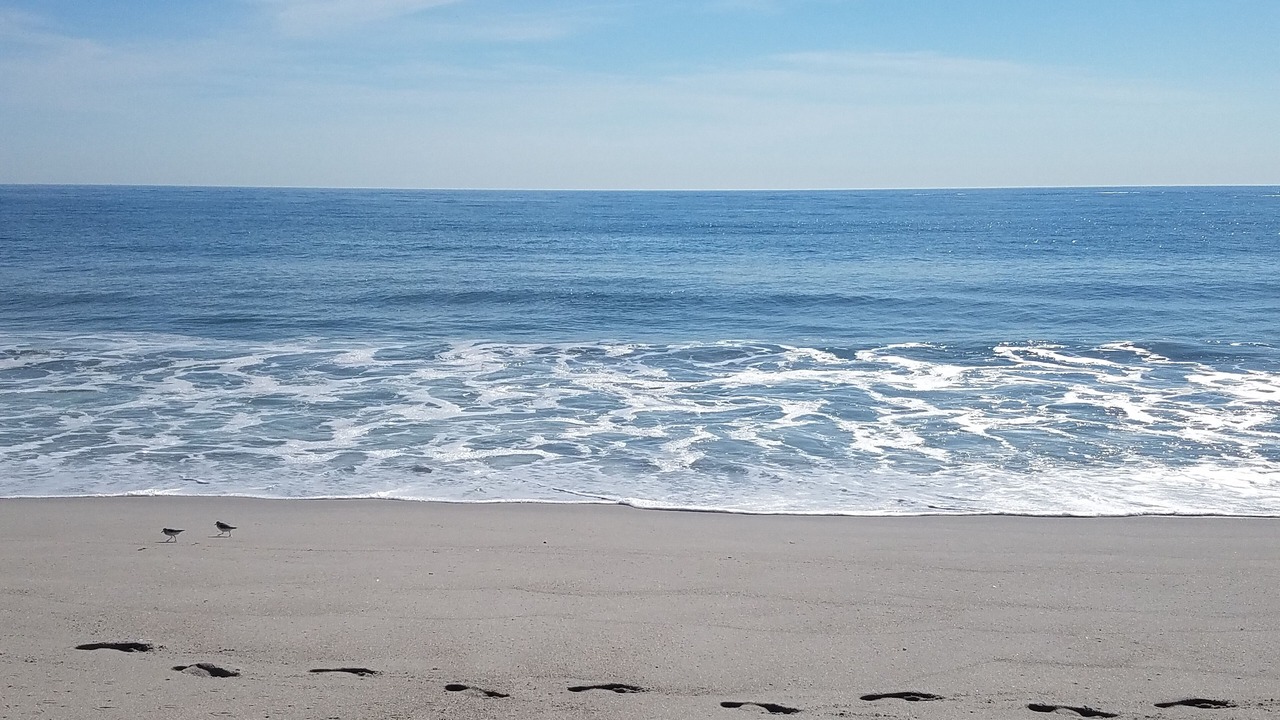 Photo of Others in Seaside Heights