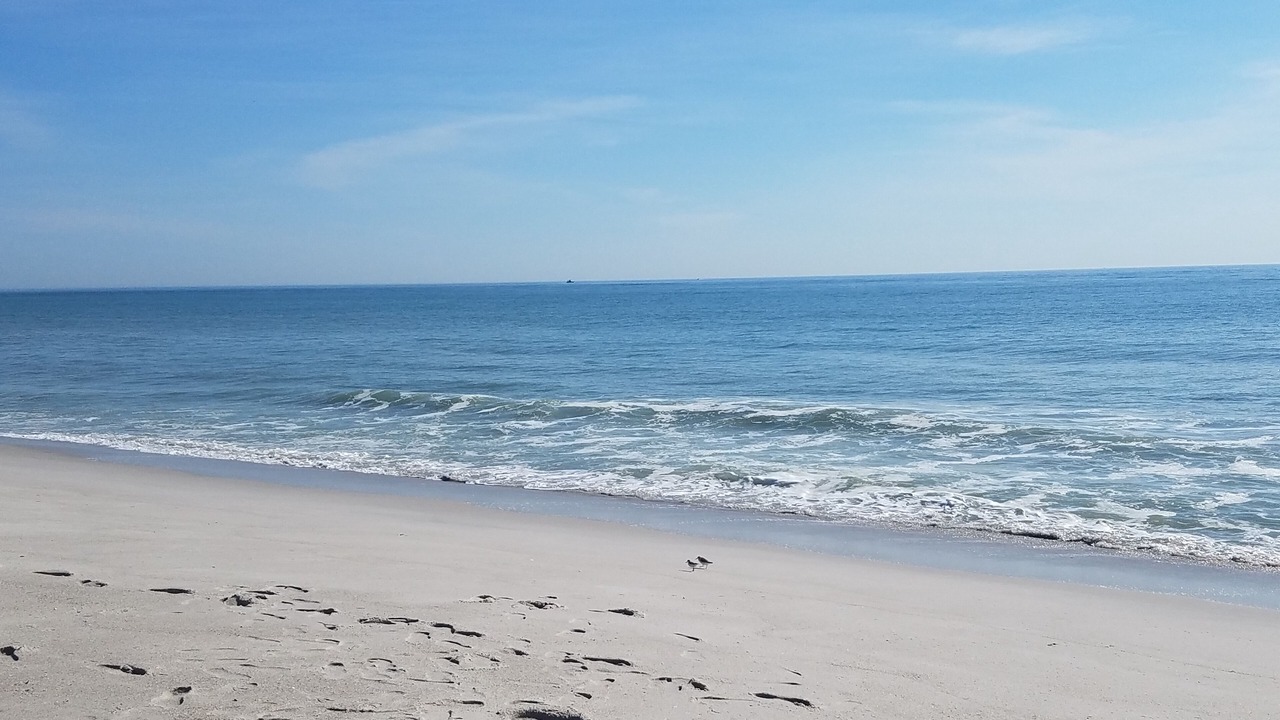 Photo of Others in Seaside Heights