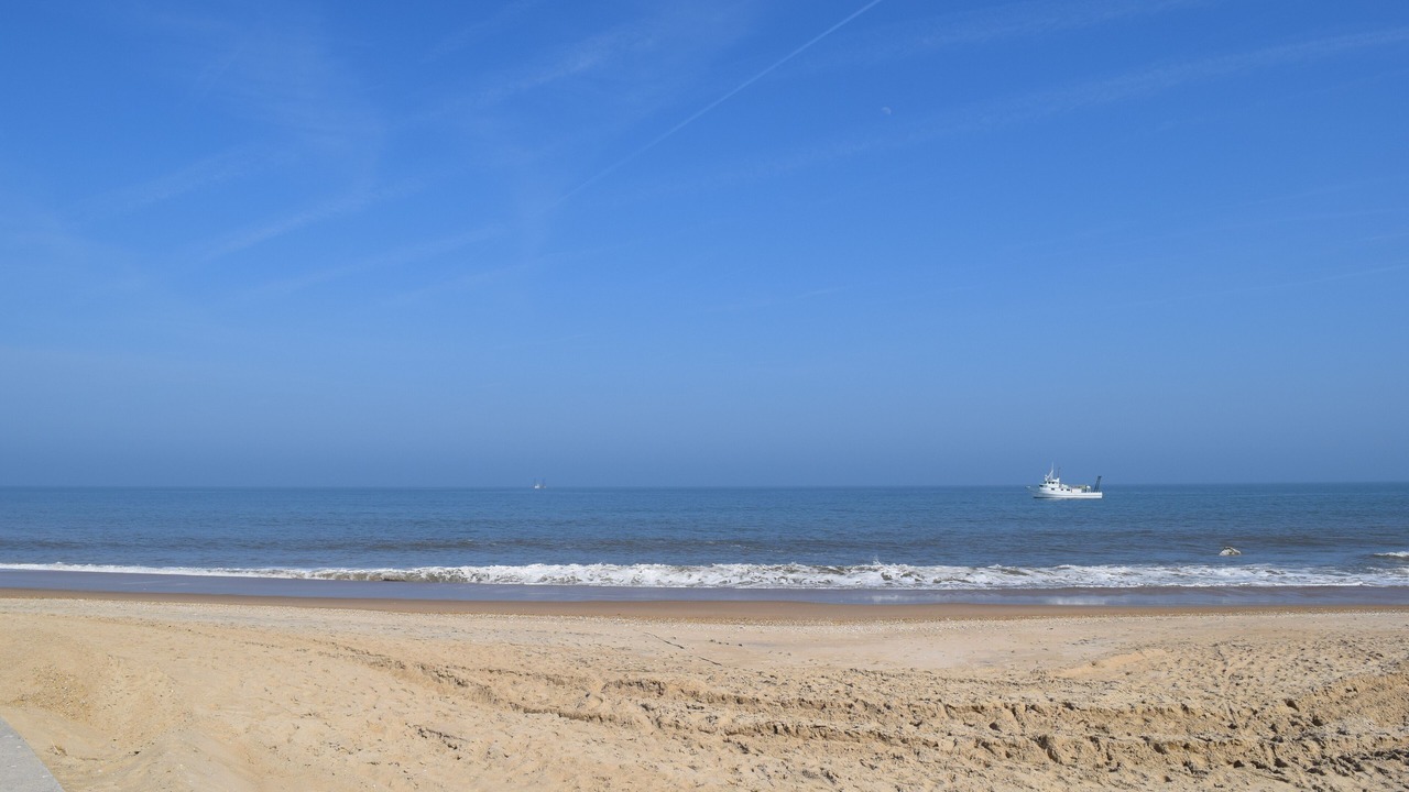 Photo of Others in Rehoboth Beach