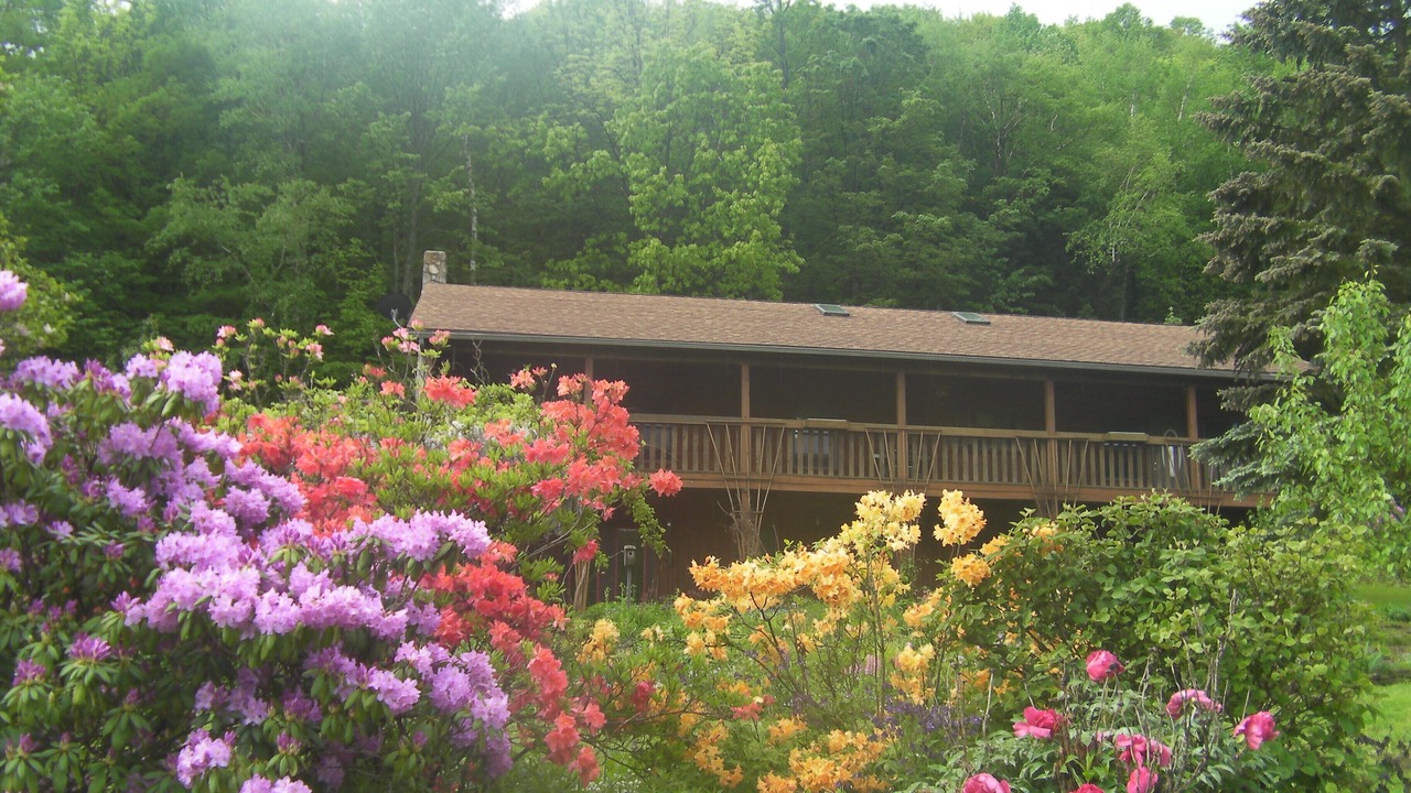 Photo of Others in Sabinsville