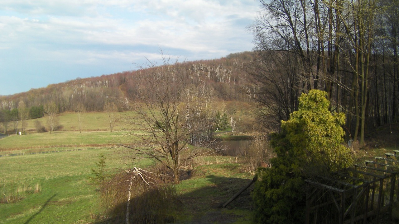 Photo of Others in Sabinsville