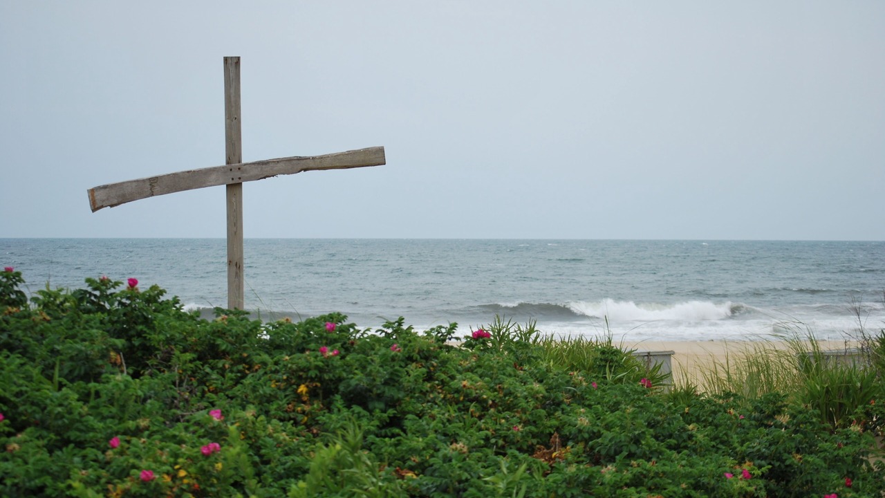 Photo of Others in Ocean Grove