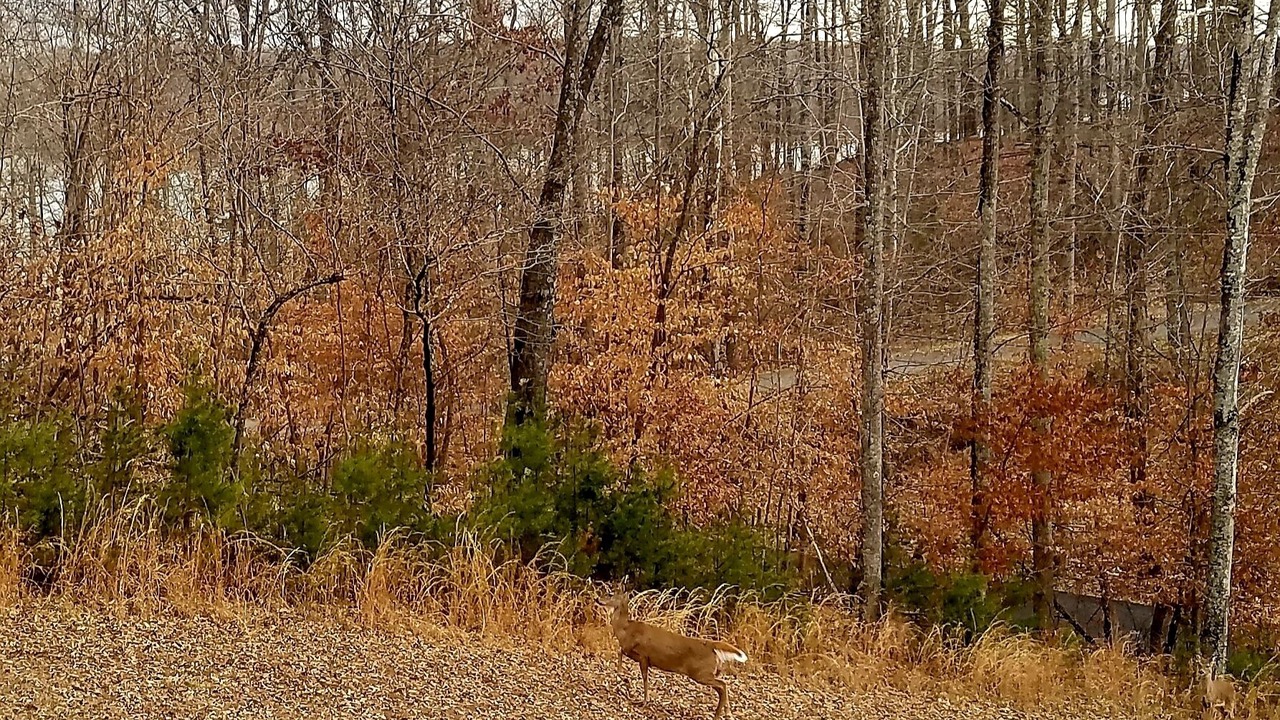 Photo of Outdoor in Jamestown