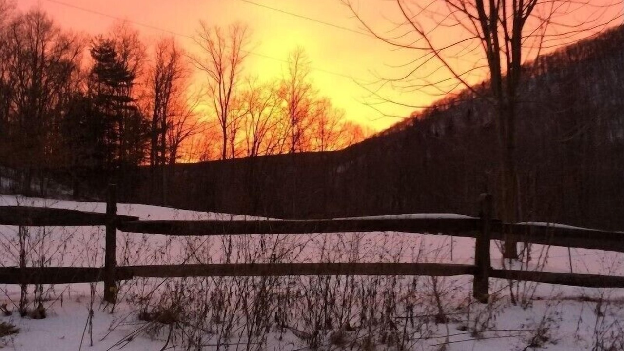 Photo of Outdoor in Benezette
