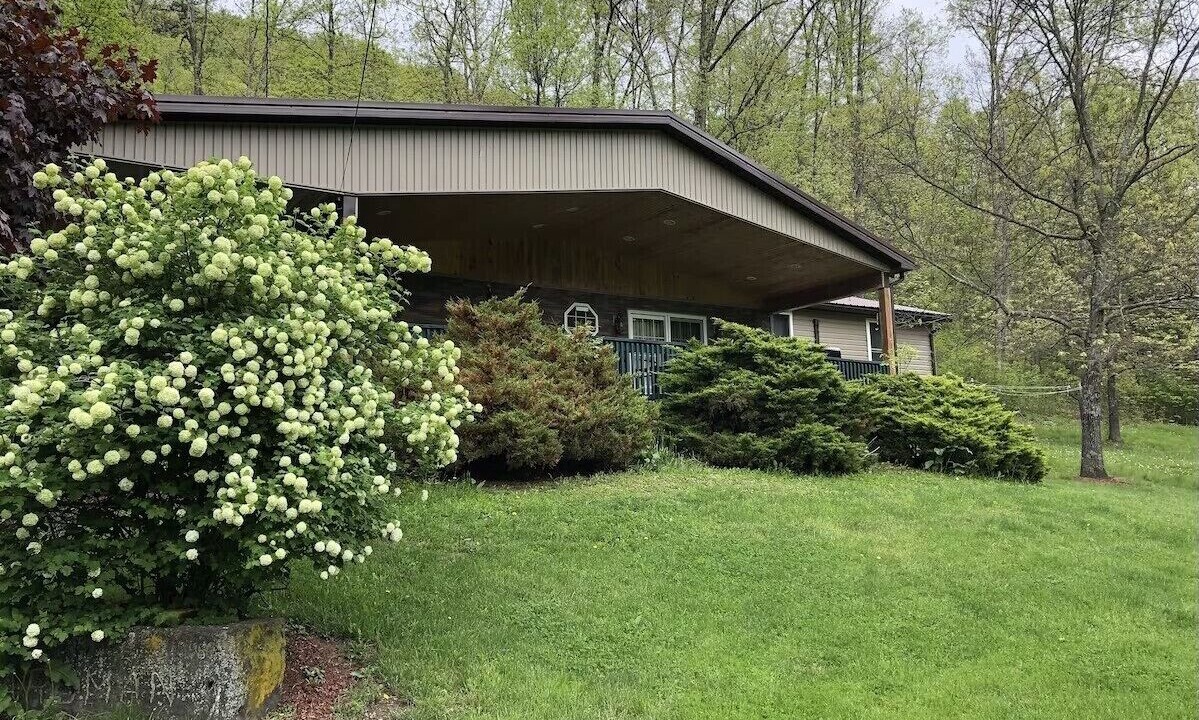 Photo of Outdoor in Benezette