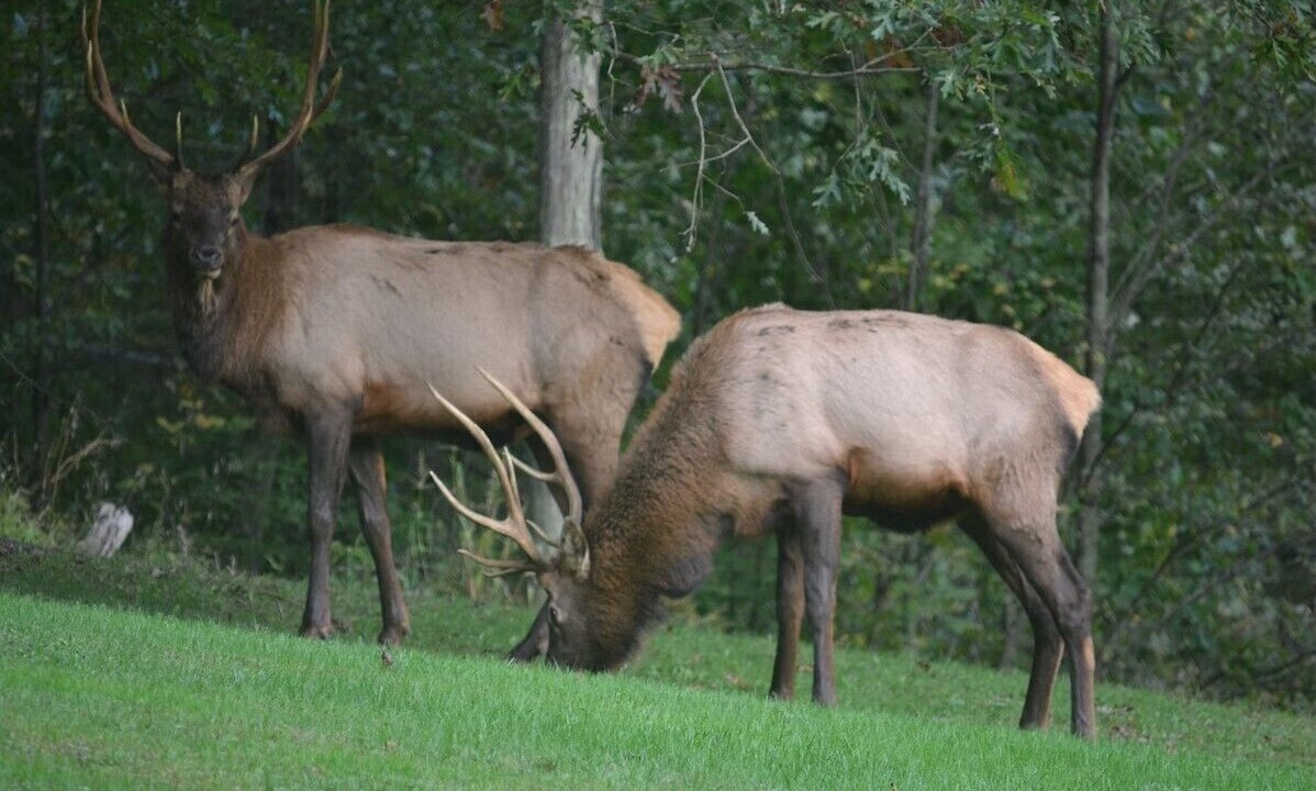 Photo of Others in Weedville