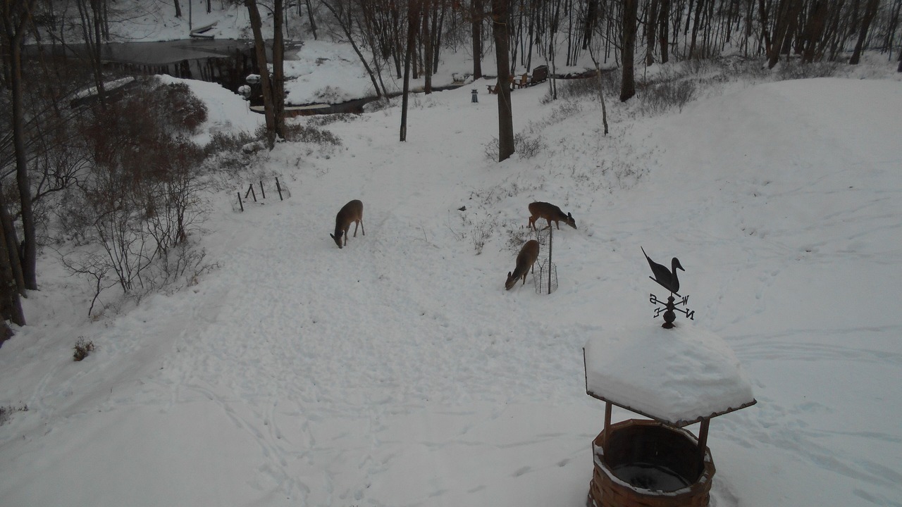 Photo of Others in Long Pond