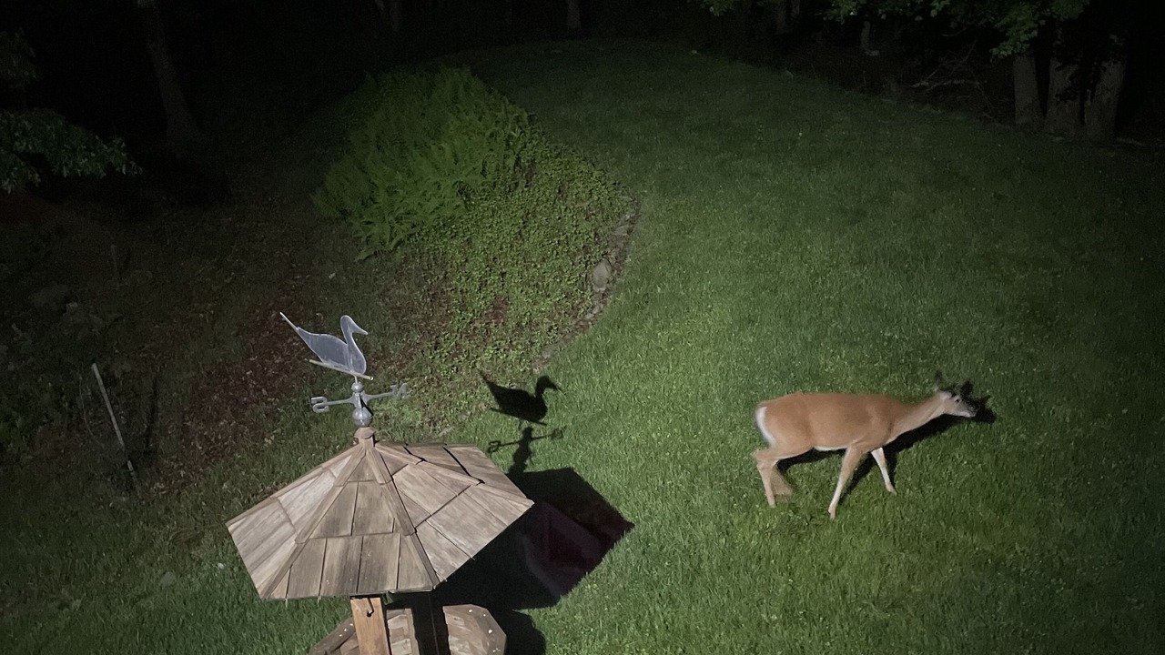Photo of Others in Long Pond