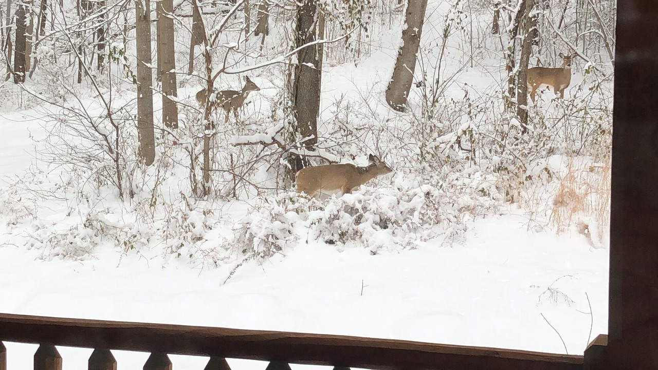 Photo of Patio Balcony in Laurelville