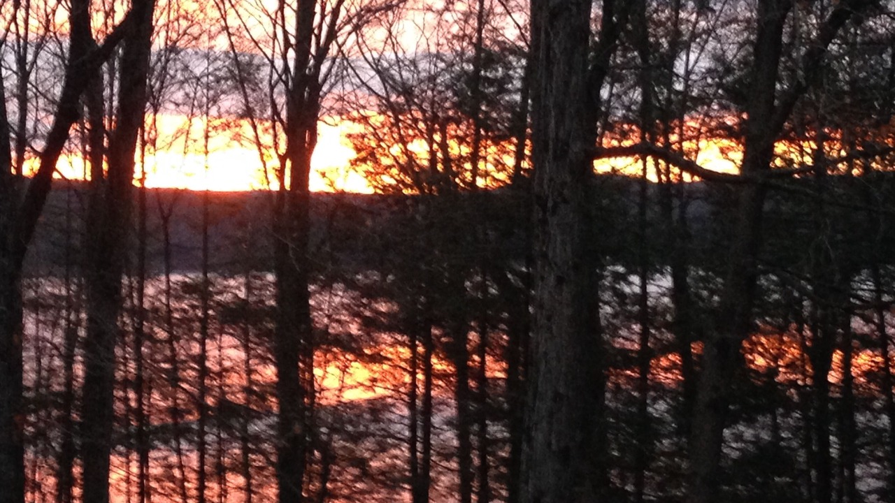 Photo of Others in Wallenpaupauk Lake Estates