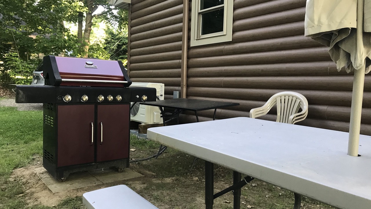 Photo of Outdoor in East Springfield