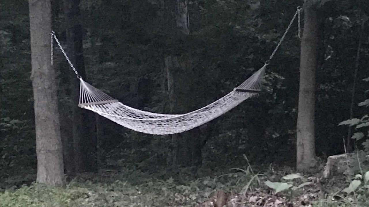 Photo of Others in East Springfield