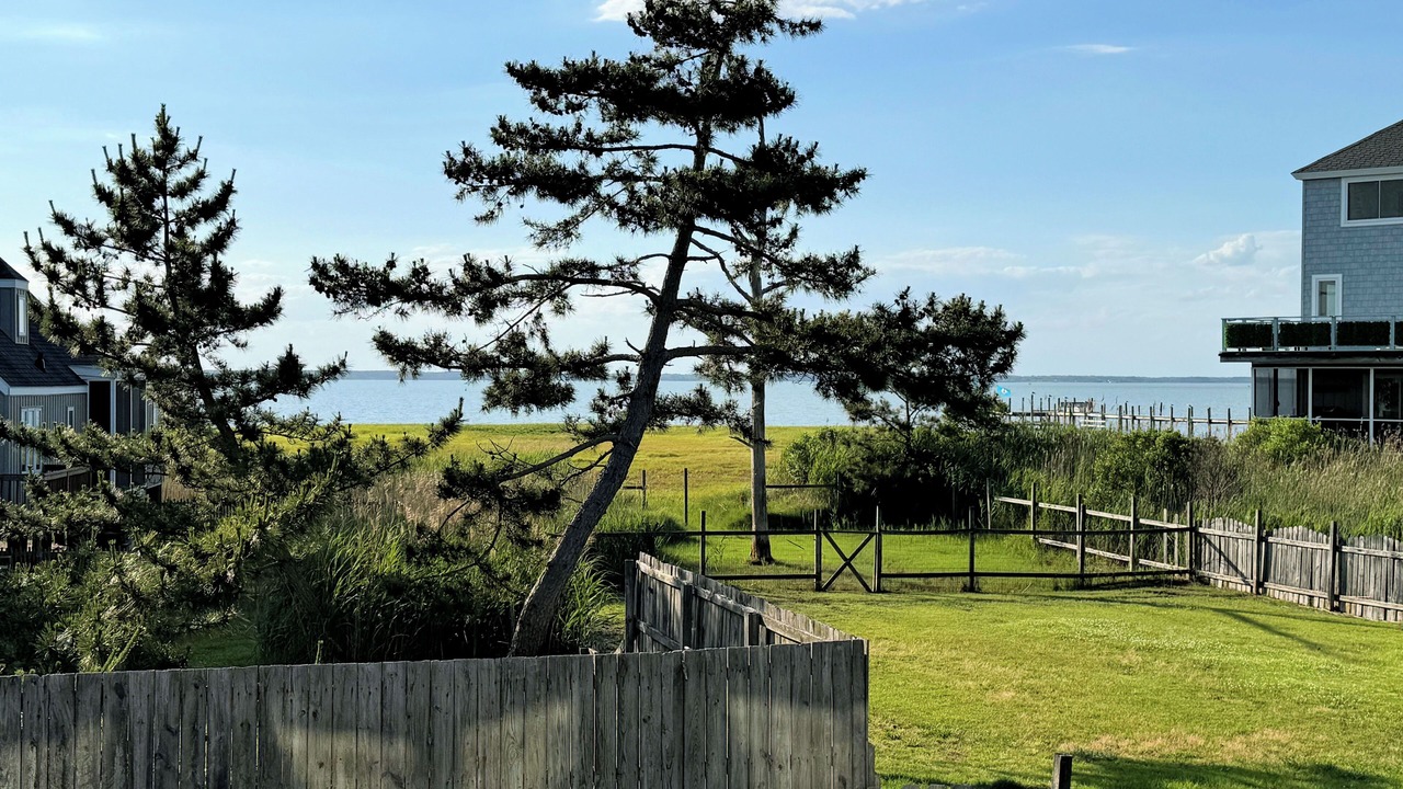 Photo of Outdoor in Chincoteague