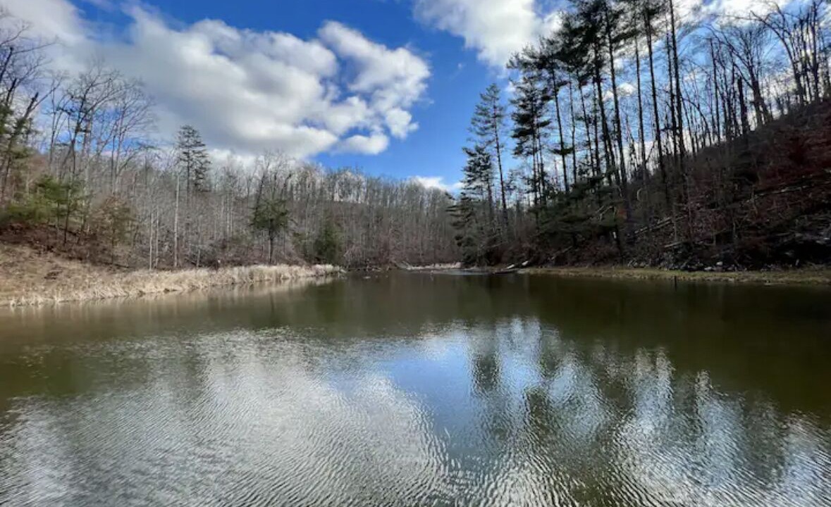 Photo of Outdoor in Kenova