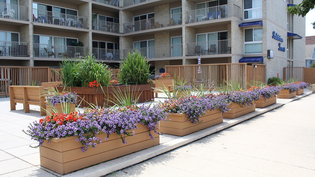 Photo of Outdoor in Rehoboth Beach
