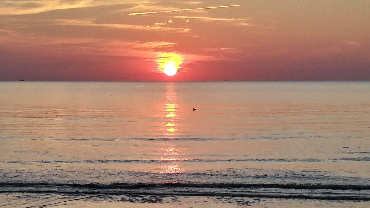 Photo of Others in North Cape May