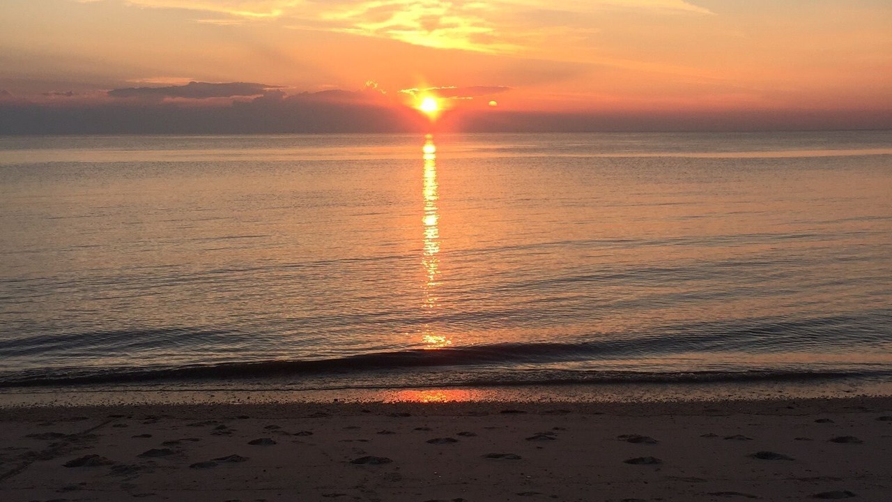 Photo of Others in Cape May - Wildwood