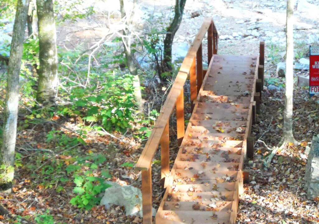 Photo of Outdoor in Flat Hollow Marina