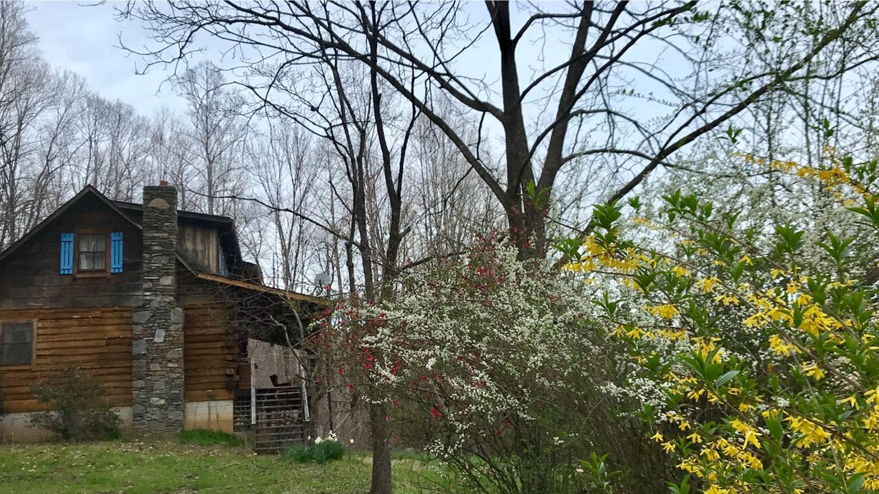 Photo of Outdoor in Saluda