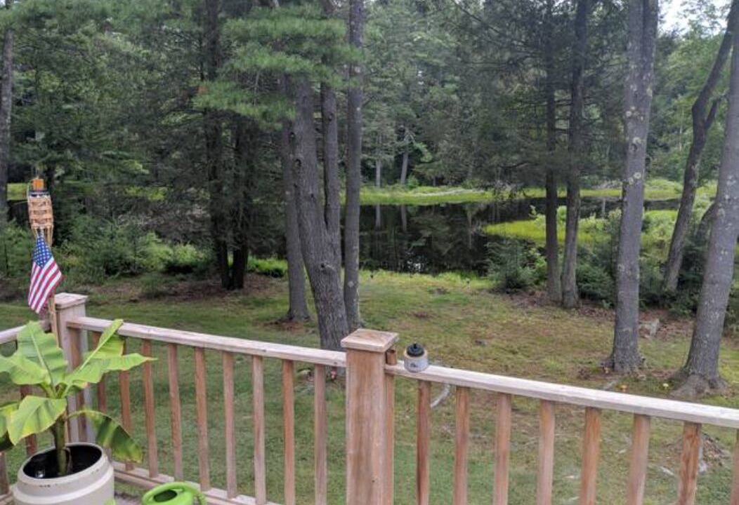 Photo of Others in Forestburgh