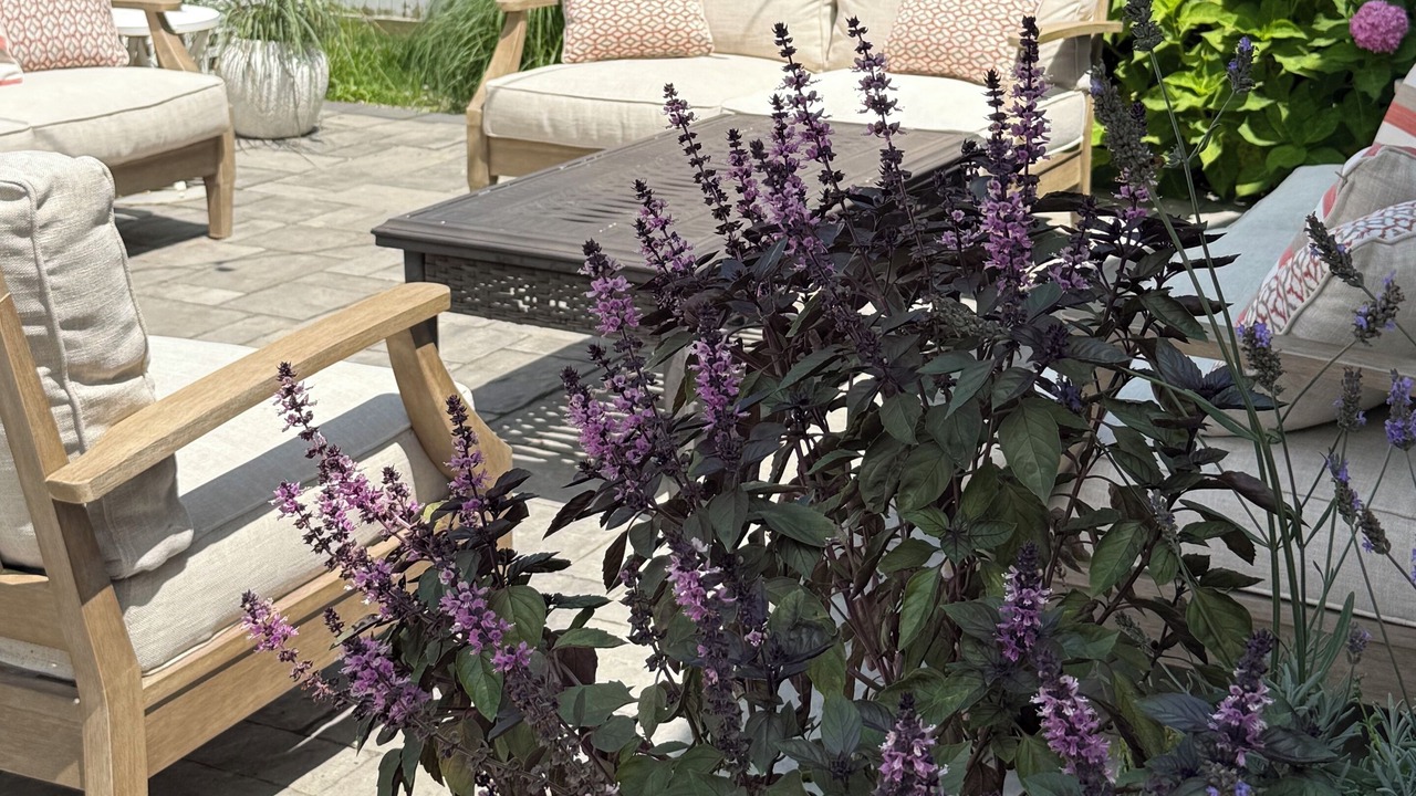 Photo of Patio Balcony in West Cape May
