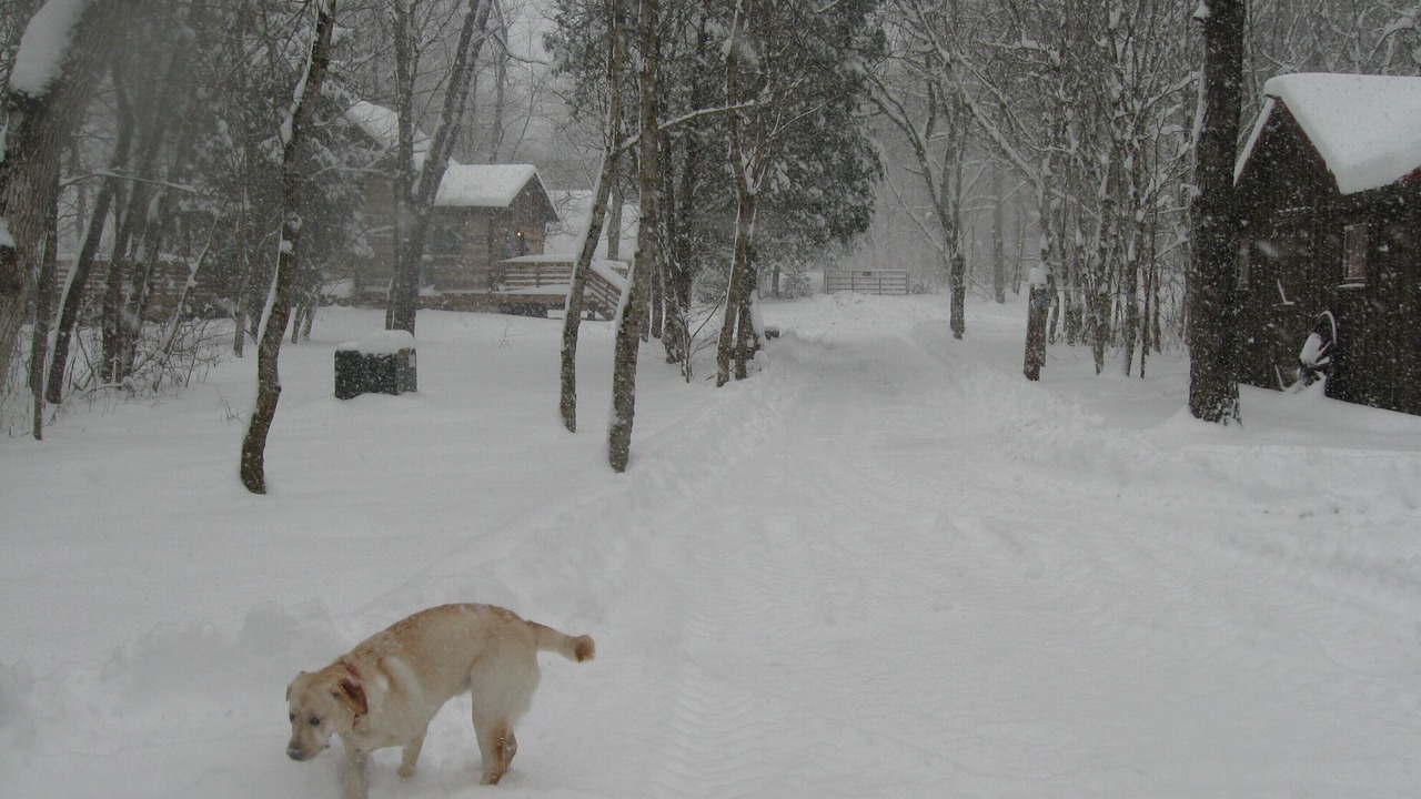 Photo of Outdoor in Luray