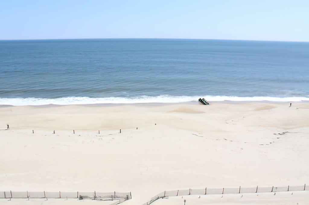 Photo of Others in South Rehoboth