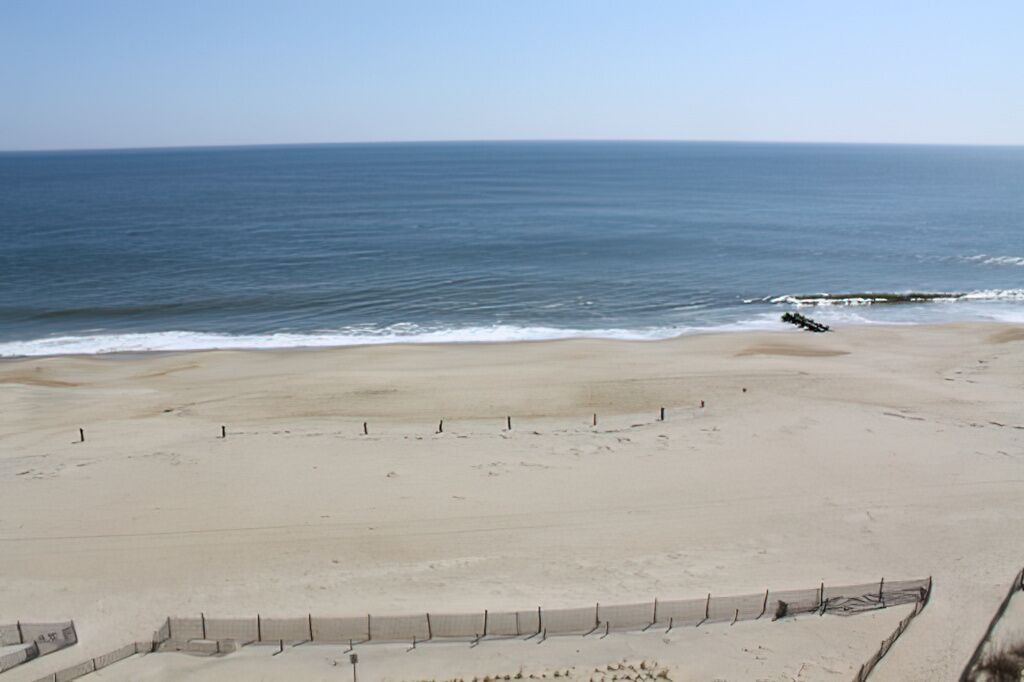 Photo of Others in South Rehoboth