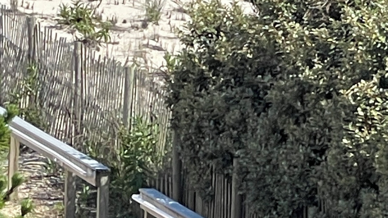 Photo of Others in North Beach Haven
